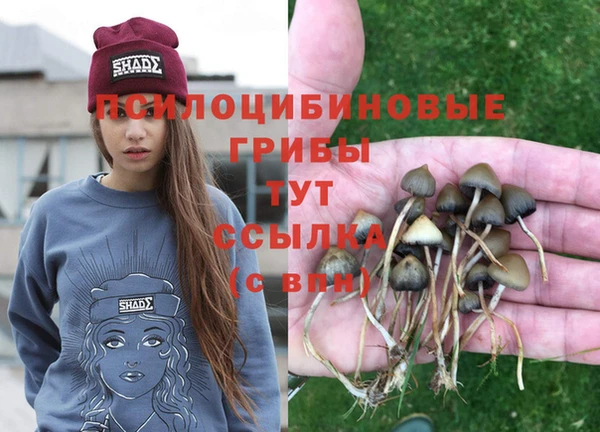 мяу мяу мука Белокуриха