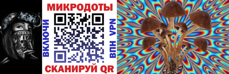 блэк спрут онион  как найти наркотики  Саяногорск  Псилоцибиновые грибы MAGIC MUSHROOMS 