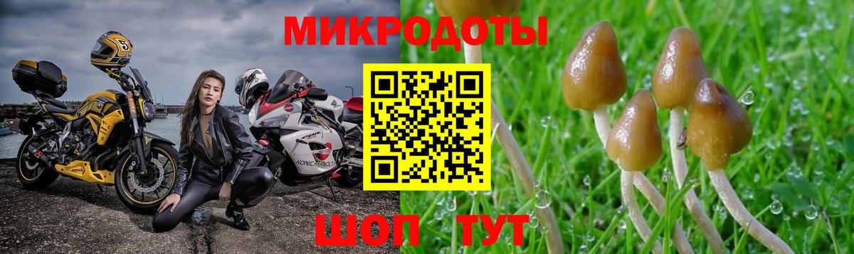 купить наркотики сайты  Галлюциногенные грибы Psilocybine cubensis  Вход с VPN  Саяногорск  Псилоцибиновые грибы Psilocybine cubensis 