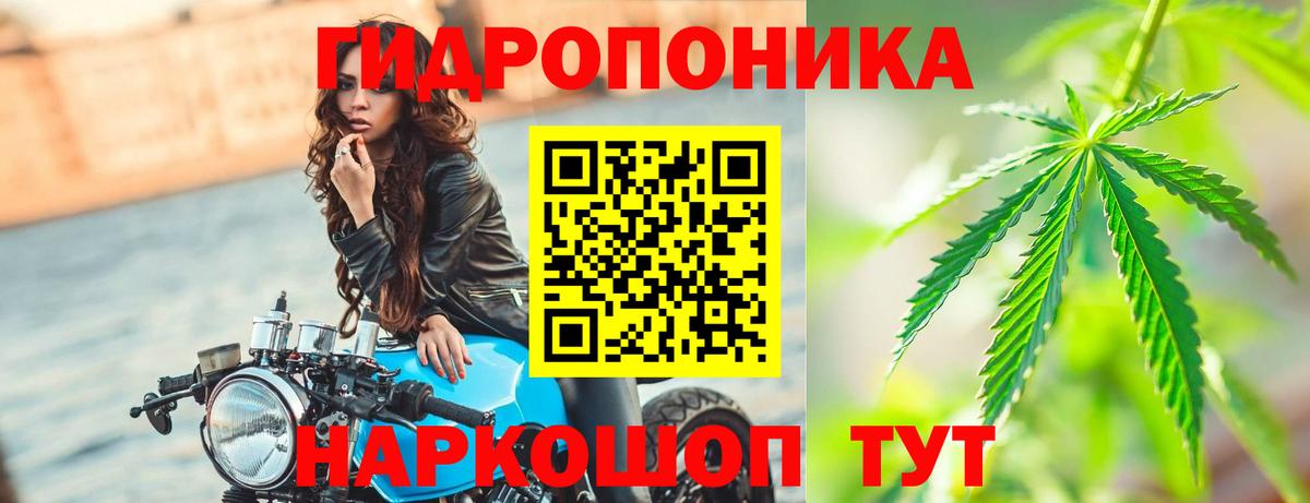 Бошки марихуана THC 21%  Вход с VPN  Каннабис MAZAR  Каннабис конопля  Канабис MAZAR  Саяногорск 